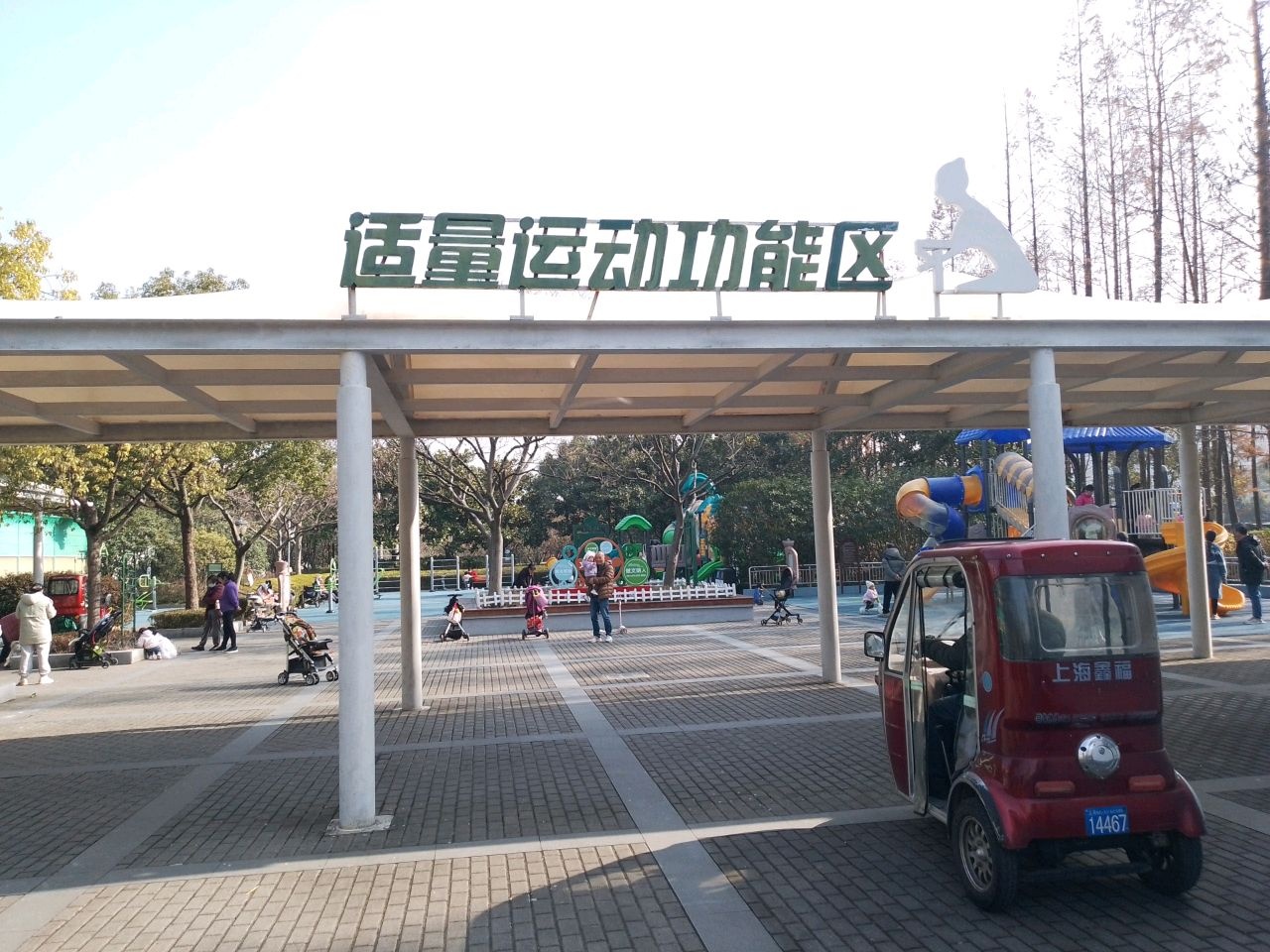 适量运动功能区