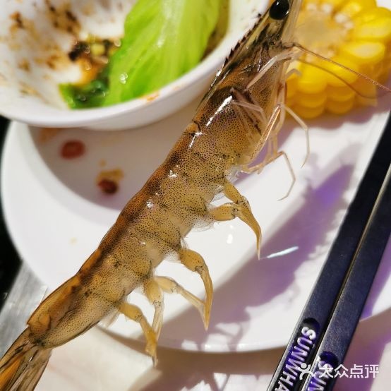阳光码头海先火锅(嘉兴店)