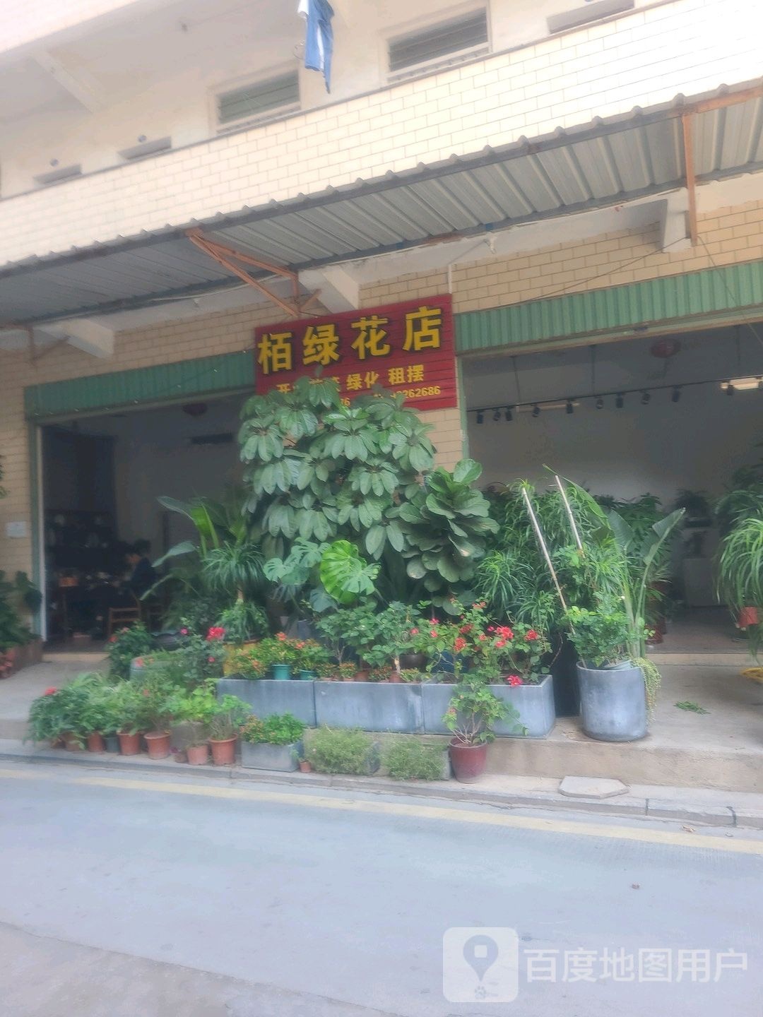 栢绿花店