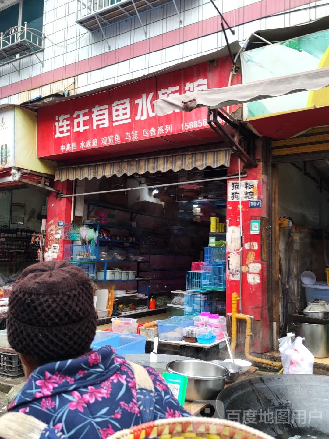 连年有雨水族馆