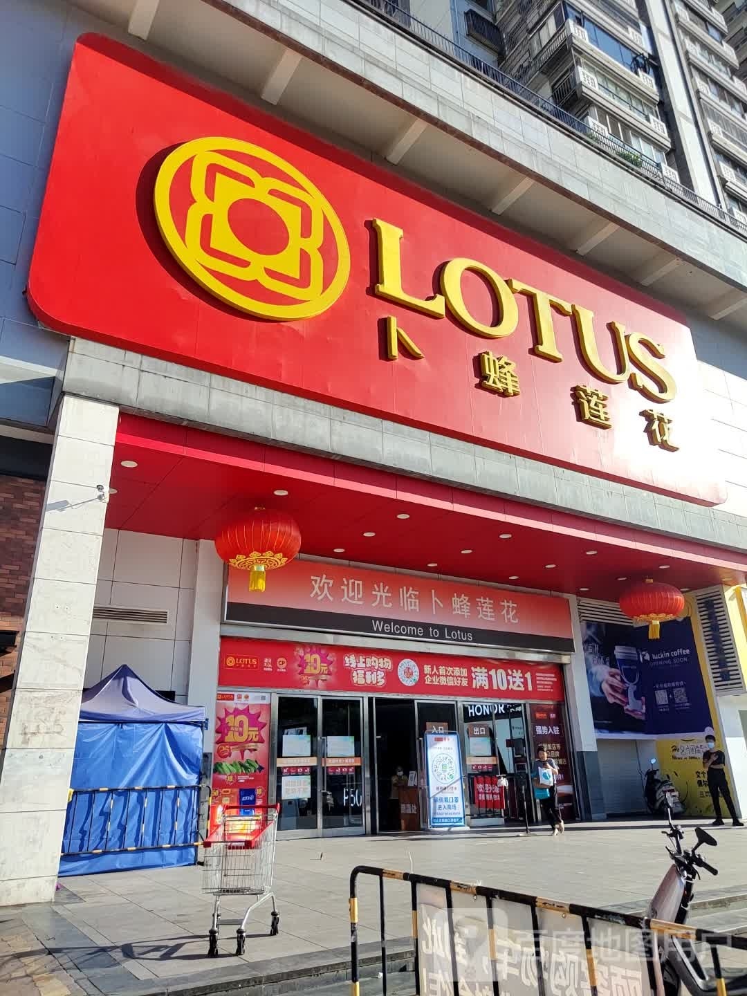 LOTUS
