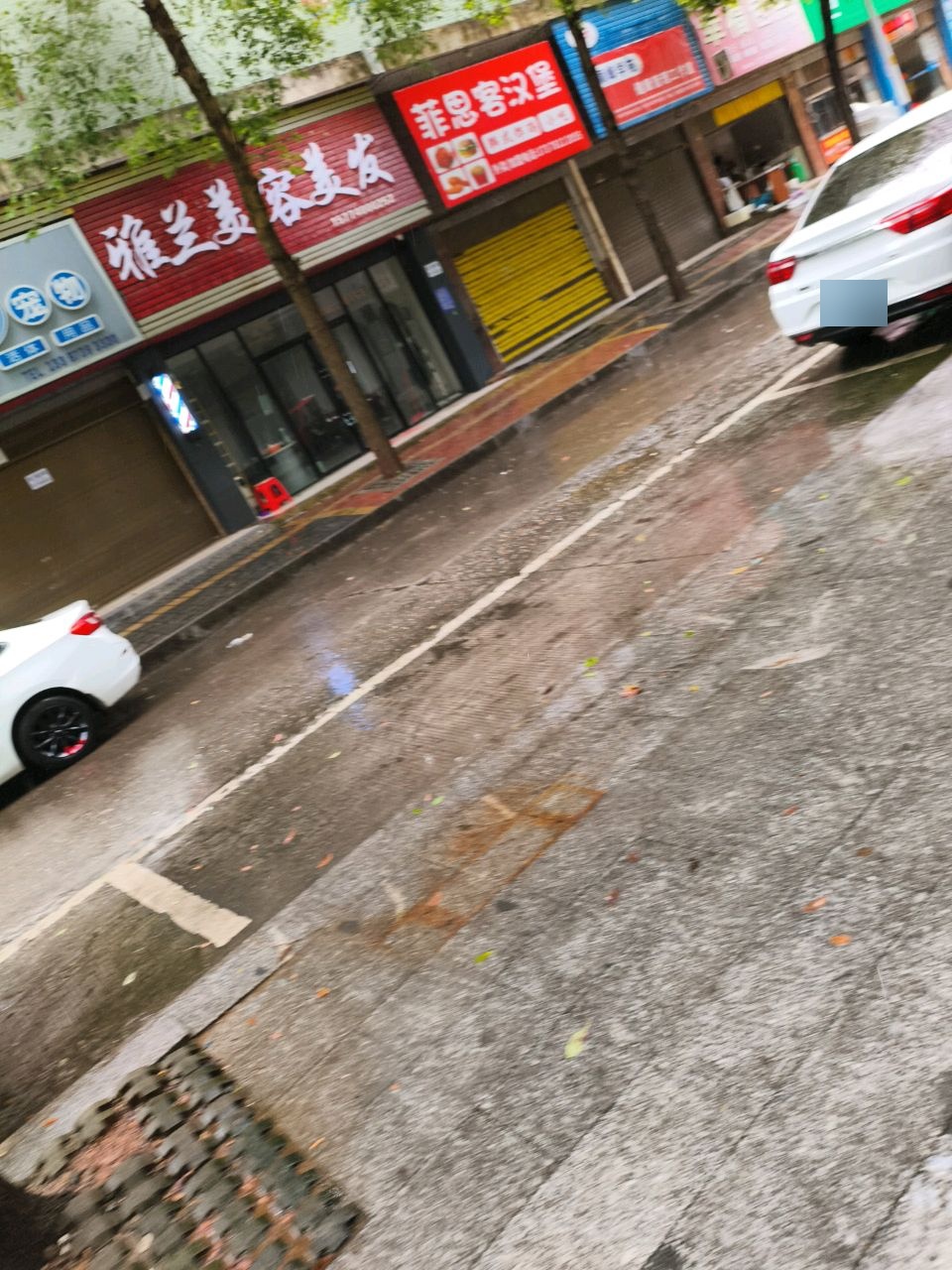 汉娜宠物店