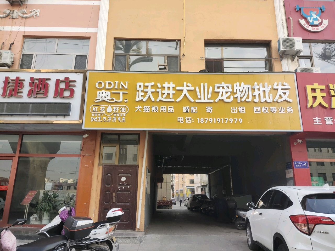跃进犬业宠物批发