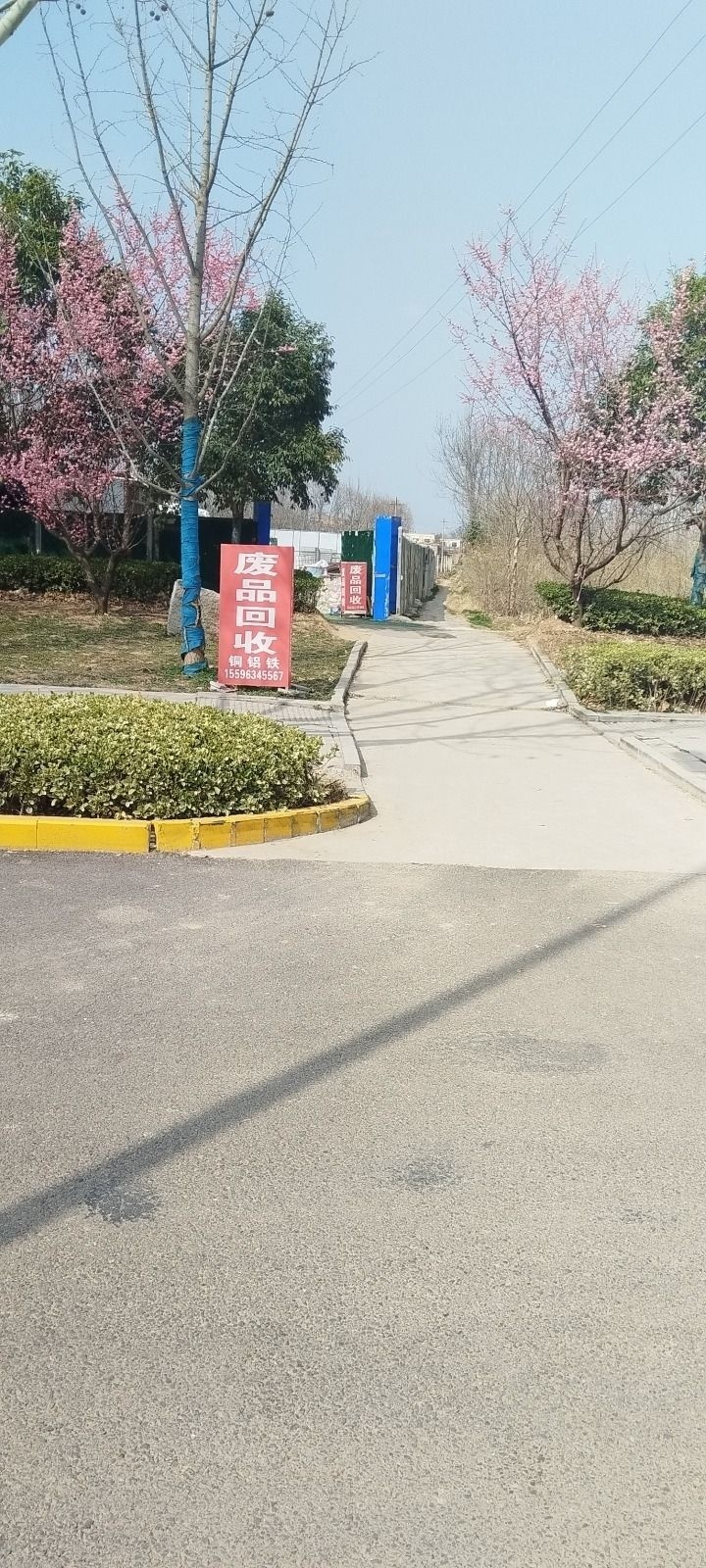 赵思雅再生资源回收