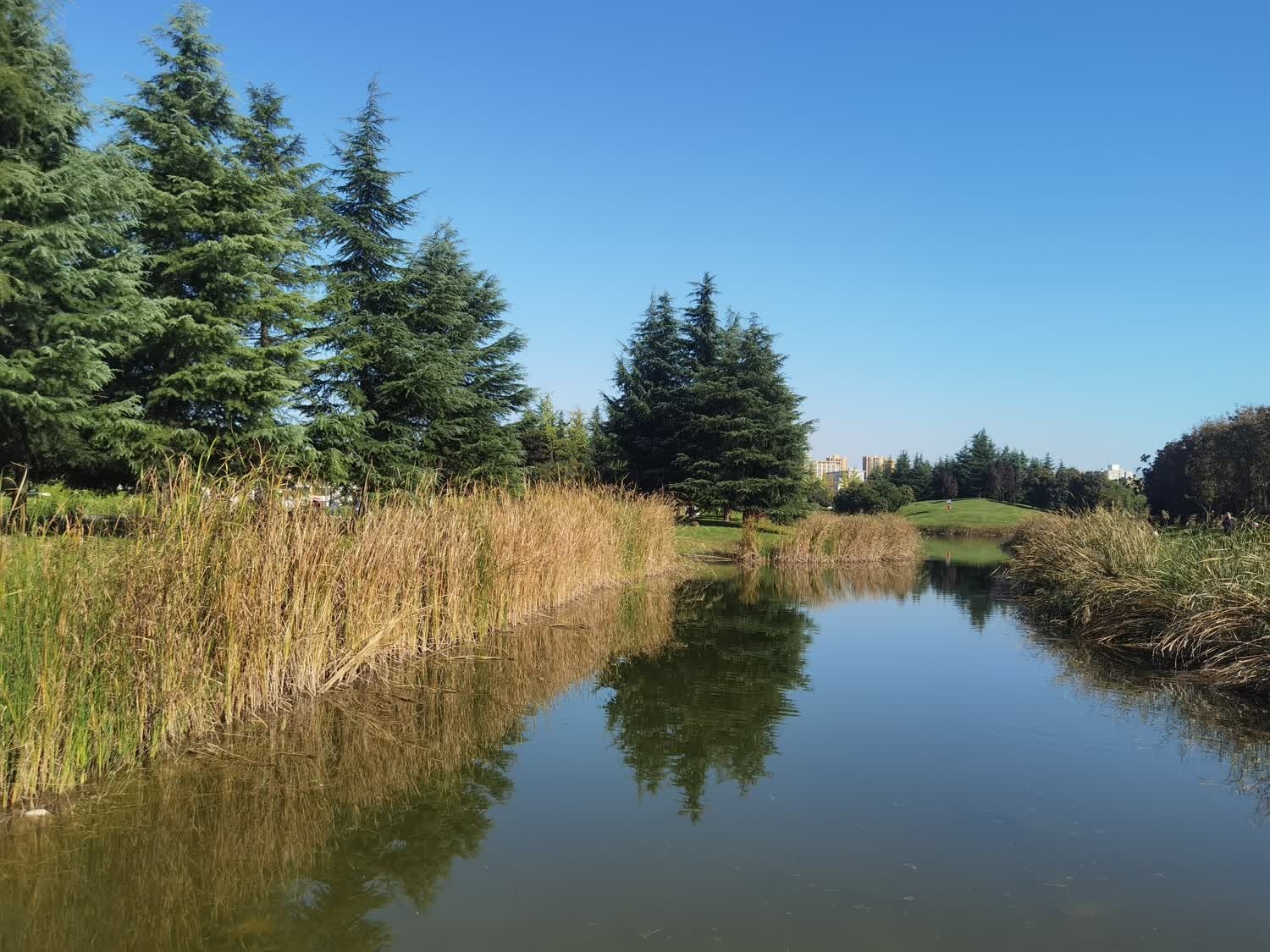 鹤鸣湖公园