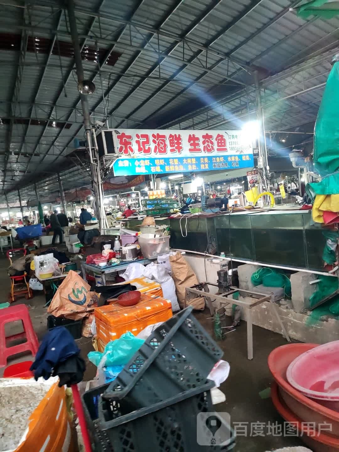 东记心动海鲜生态鱼