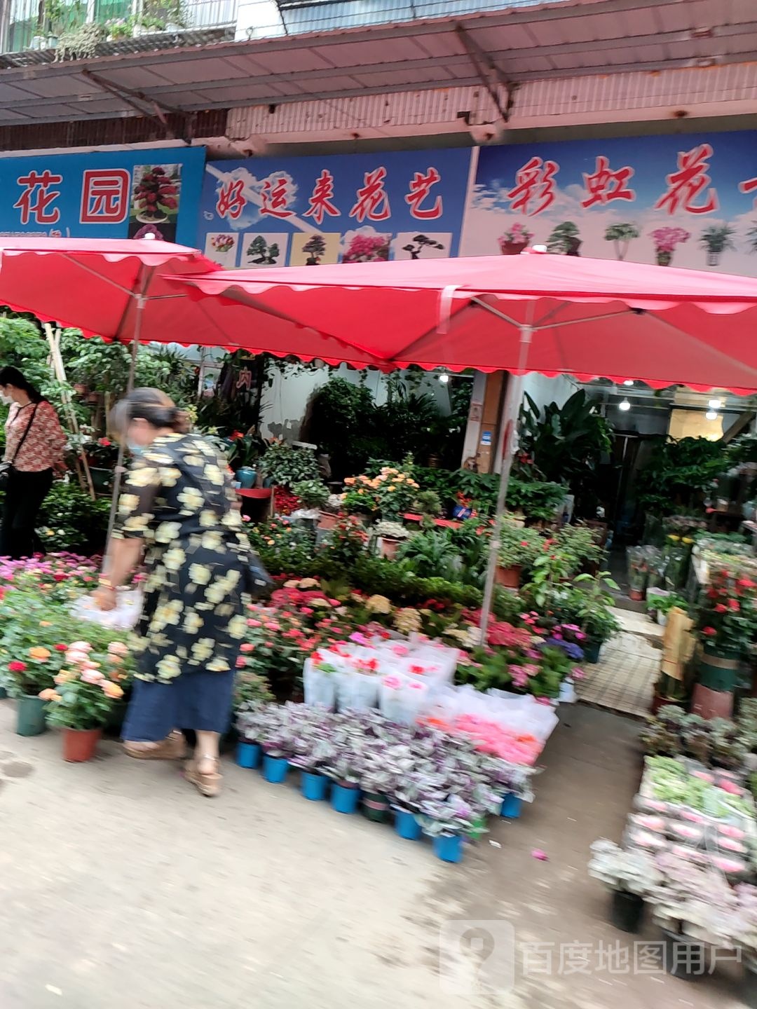 好运来花艺(富民花鸟大市场店)