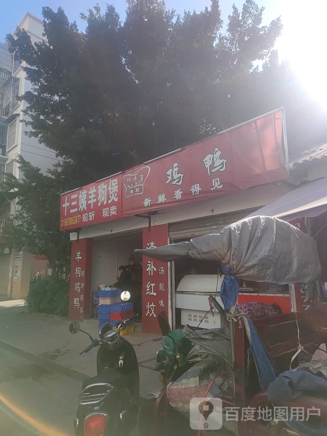 十三姨羊狗煲