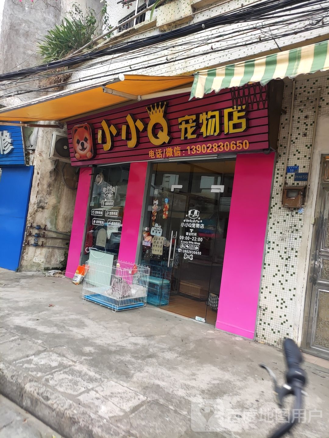 小小Q宠物店