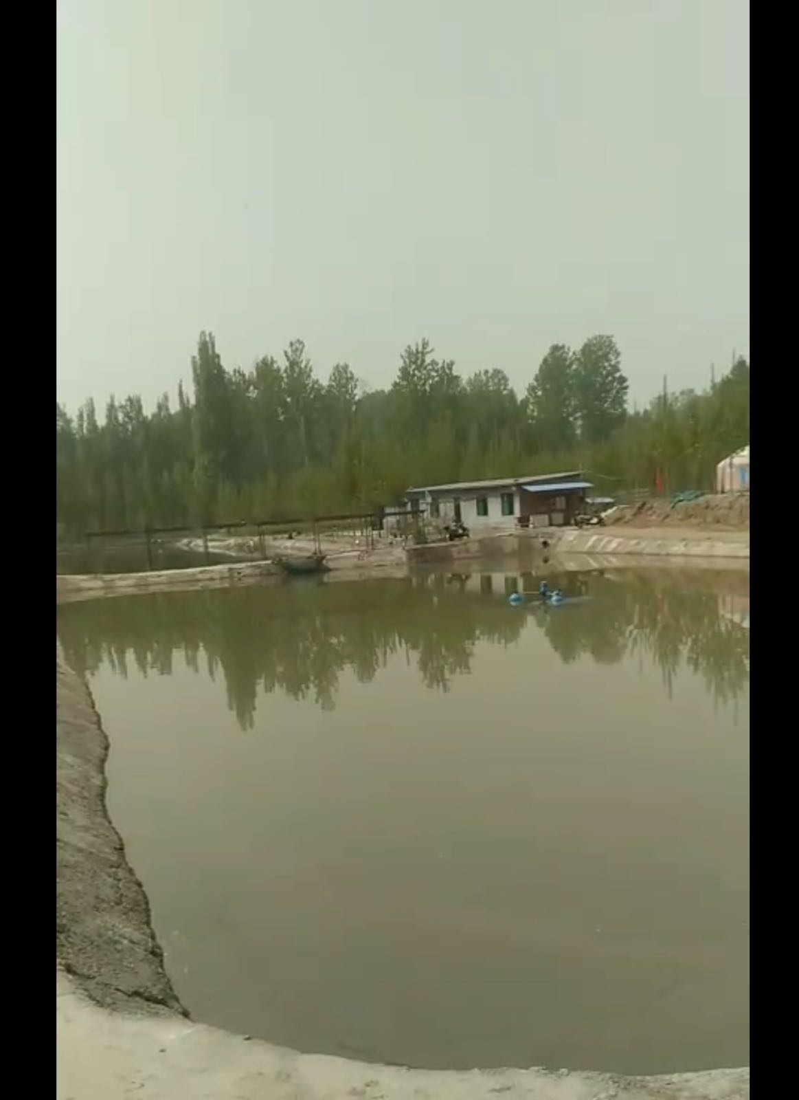 龙泉垂钓