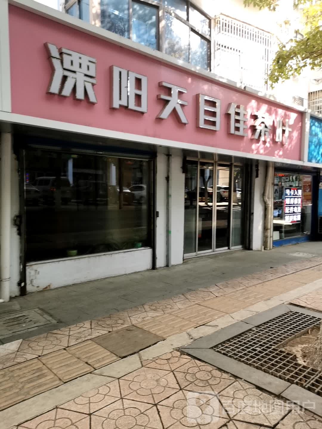 溧阳天目佳茶叶