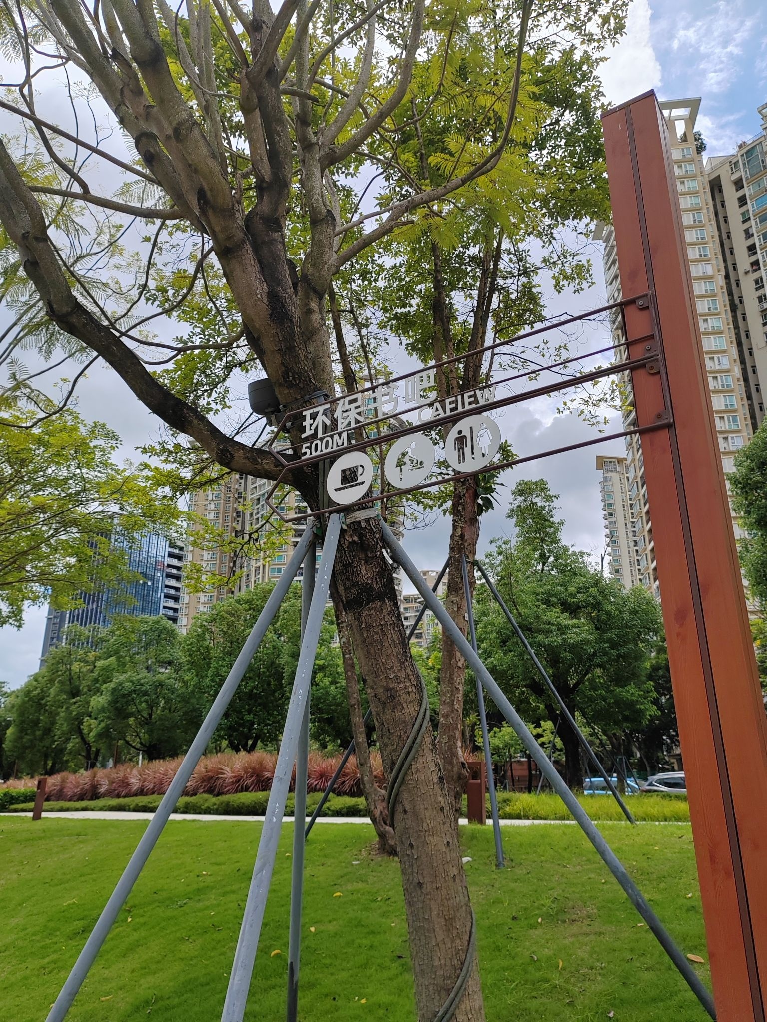 大沙河生态长廊绿道