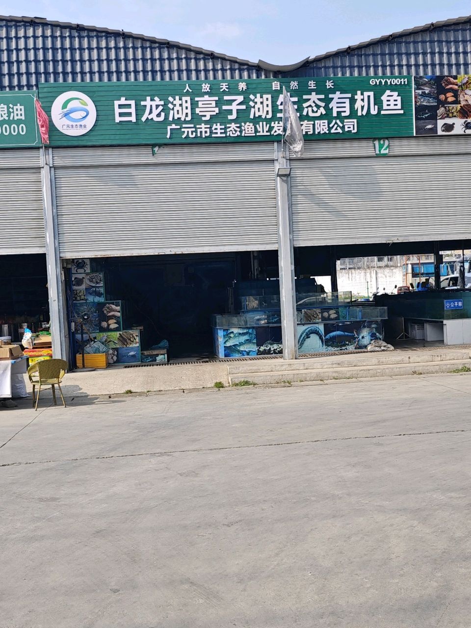 白龙湖亭子湖生态有机鱼