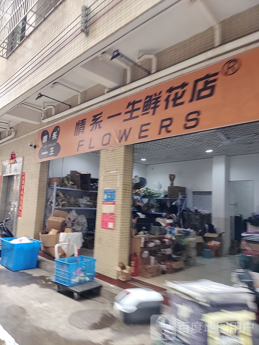 情系一生鲜花店