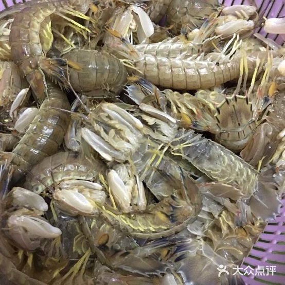 锦记海鲜购销部(思始市场店)