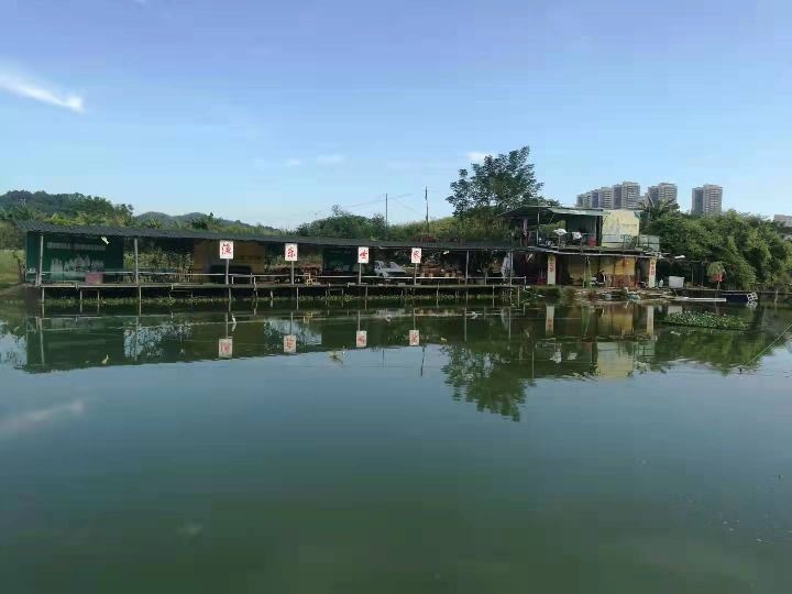 渔乐世界休闲钓场