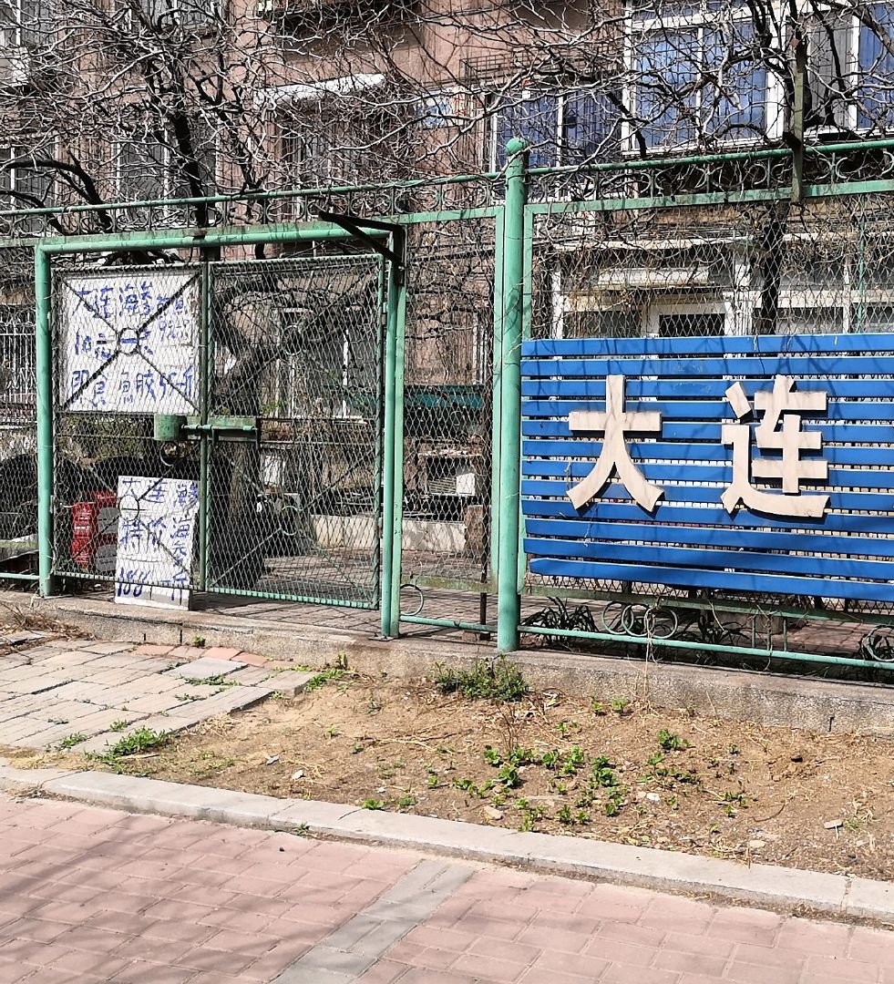 大连海参(鞍山专营店)