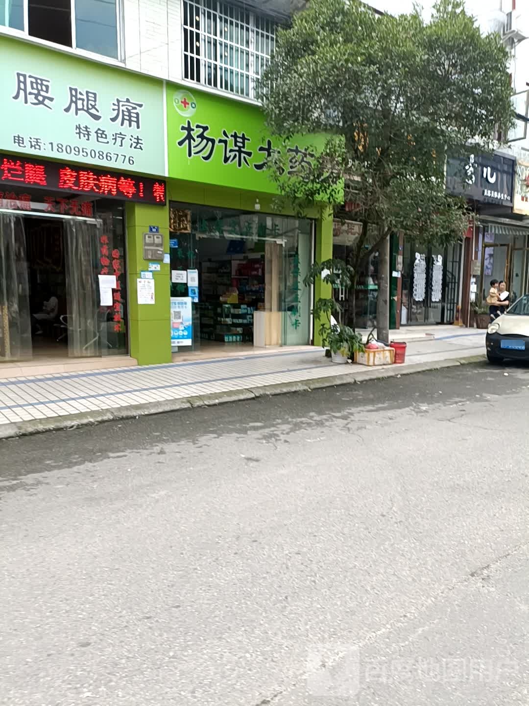 杨谋大药房