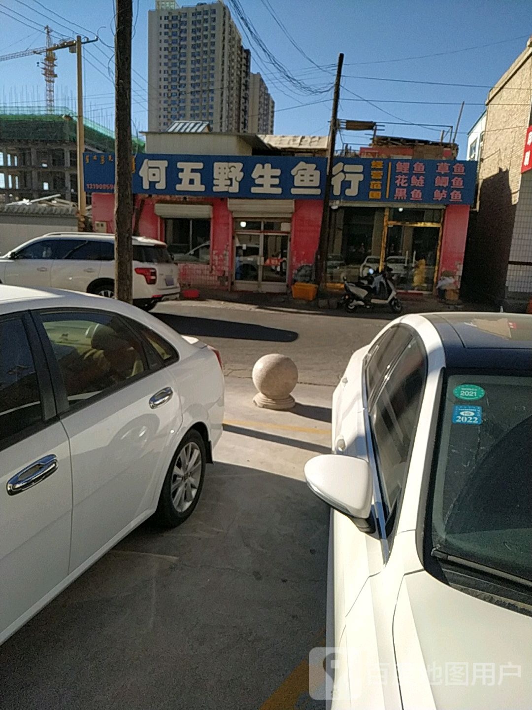 何五野生鱼行