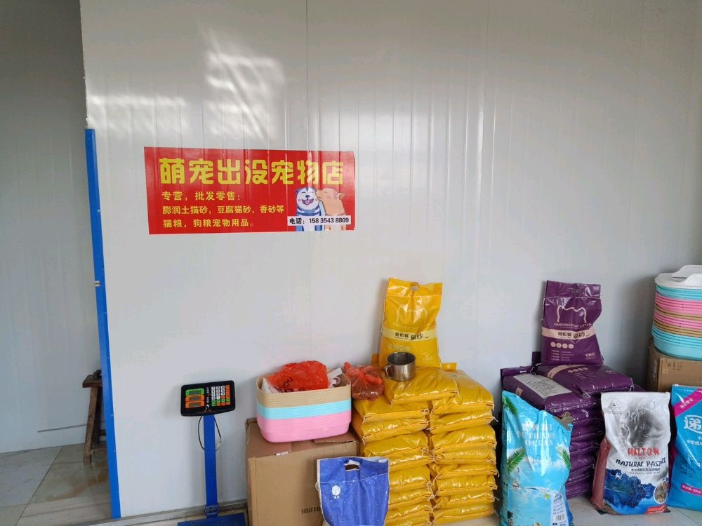 萌宠出没宠物店