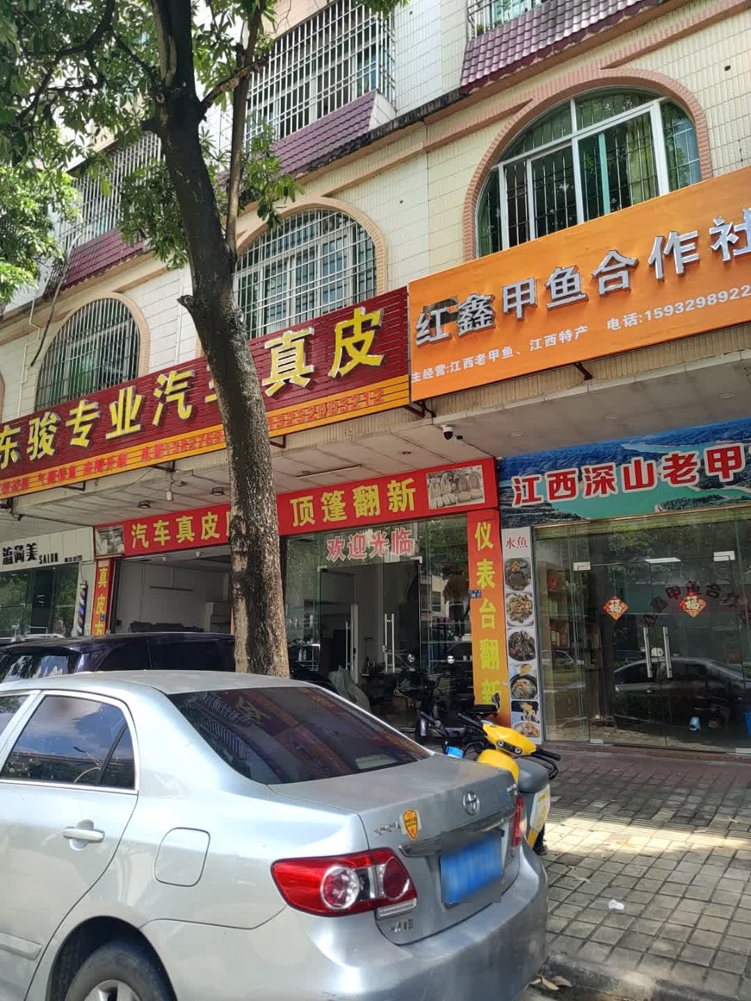 红鑫甲鱼合作社