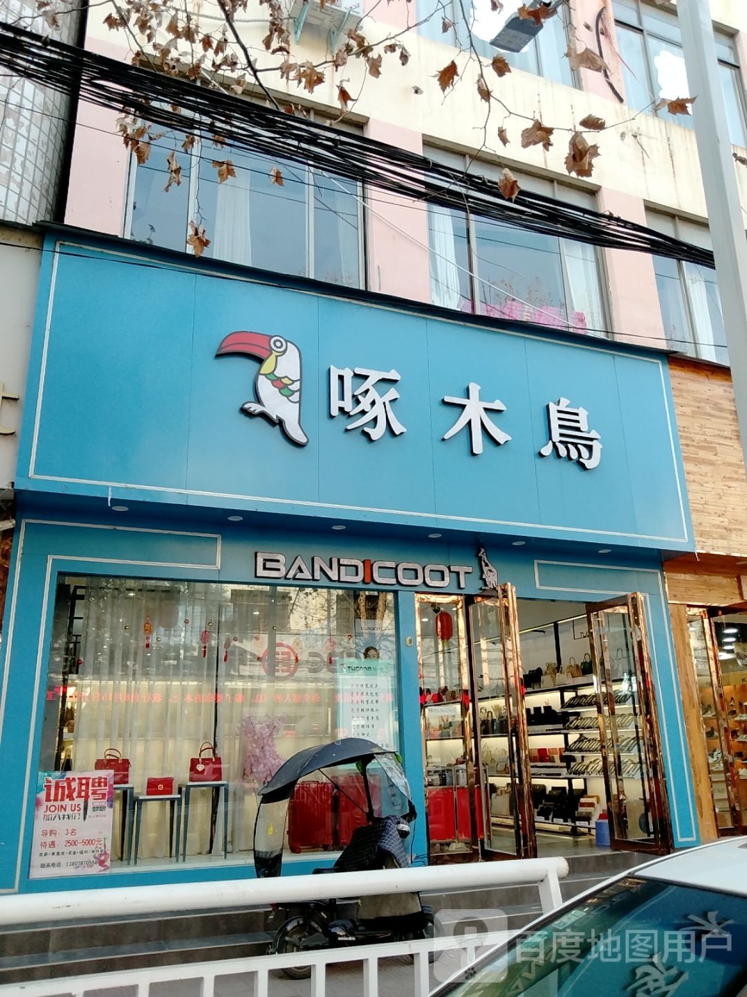 新野县啄木鸟(解放路店)