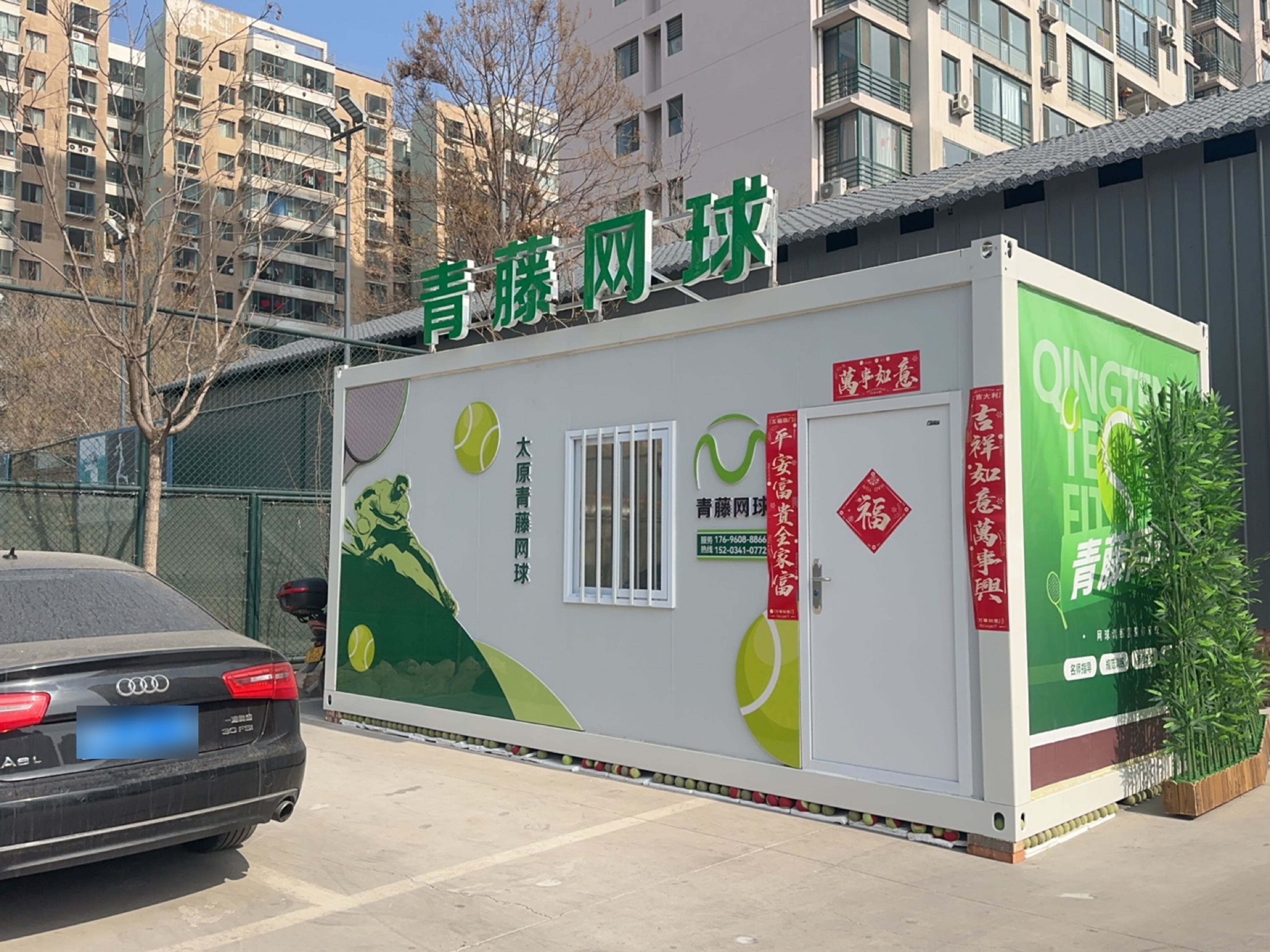 青藤网球