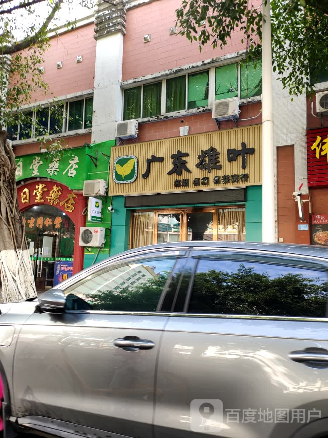 广东雄叶