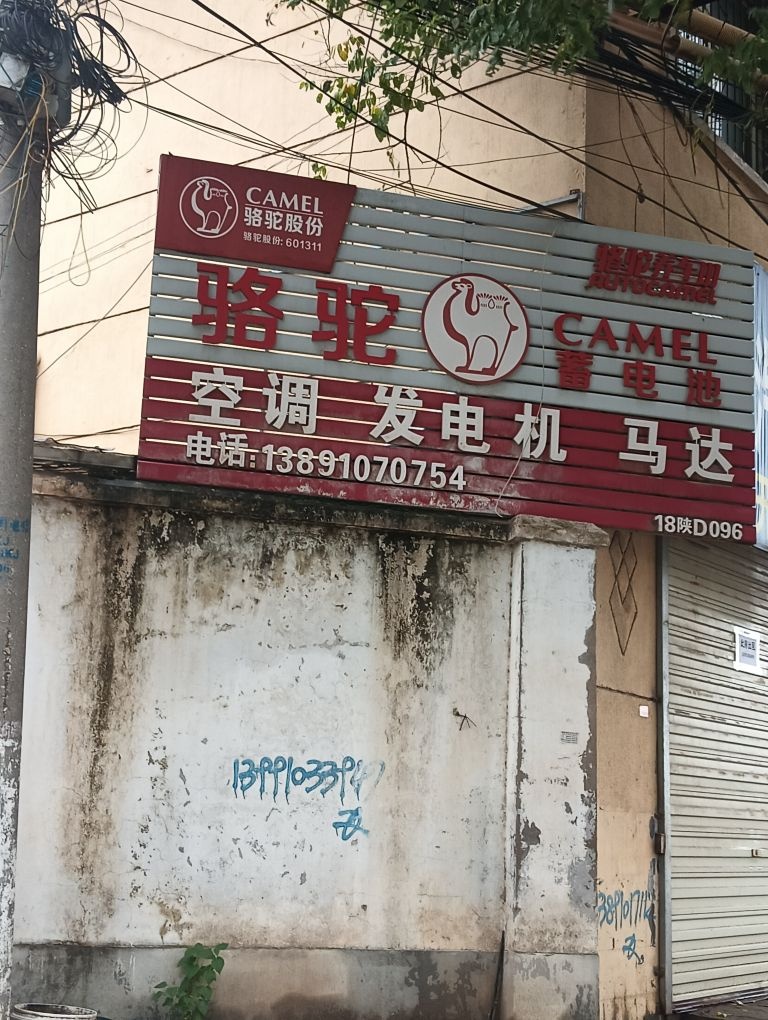 骆驼蓄电池