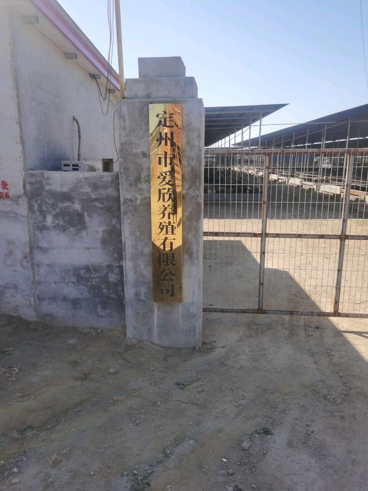 定州市爱欣养殖有限公司