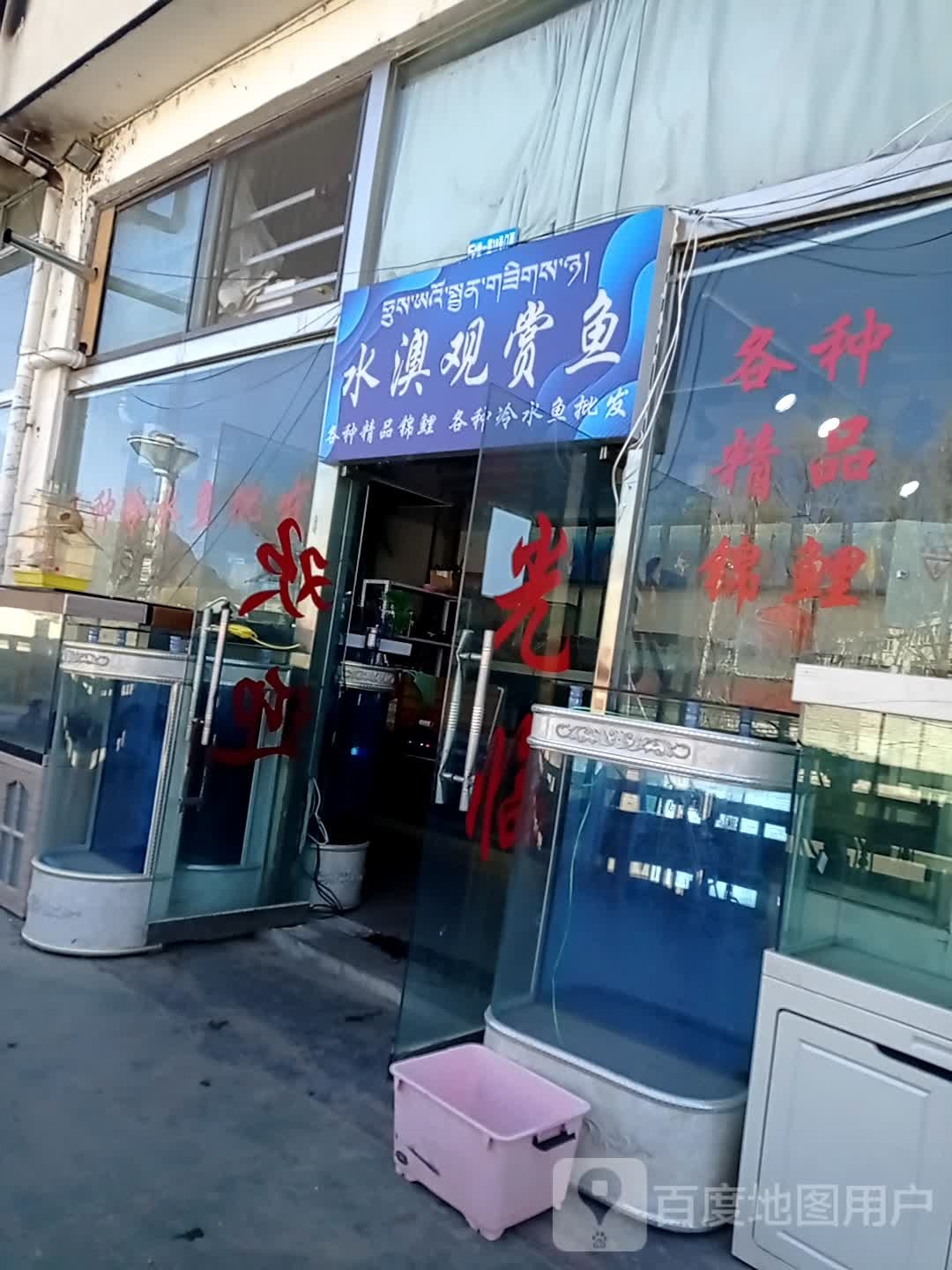 水澳观赏鱼