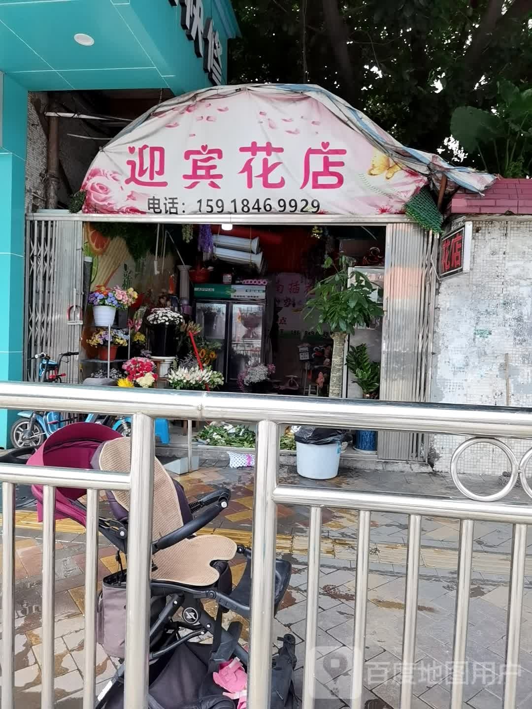 迎宾花点