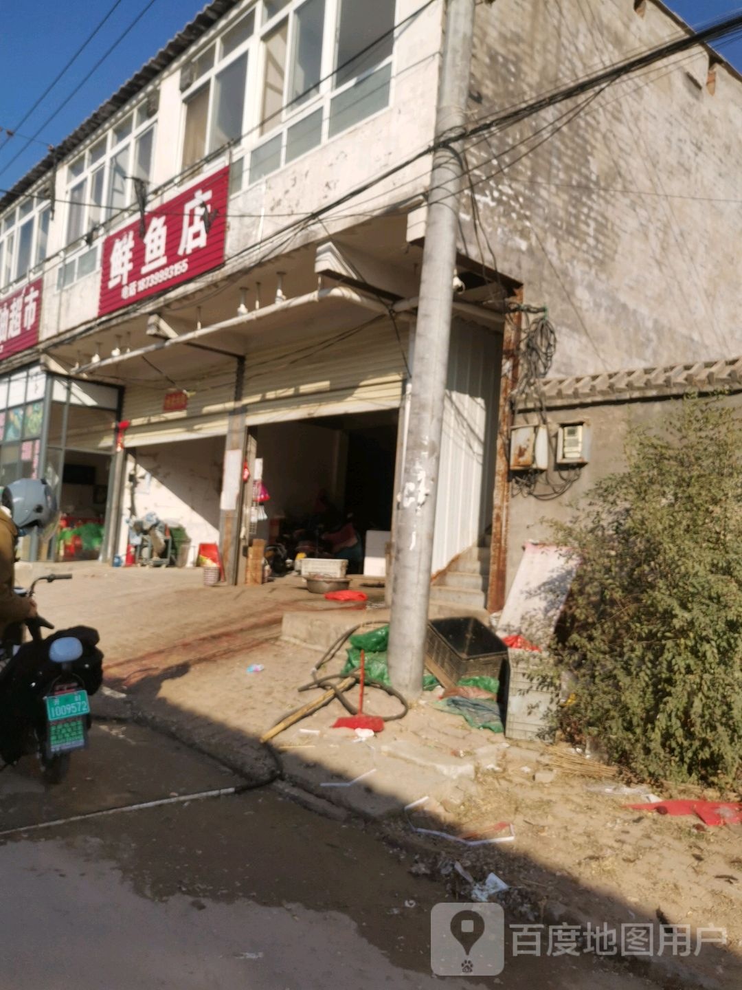 鲜鱼店
