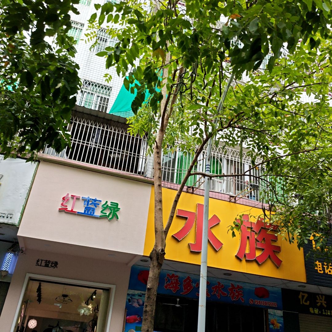 南兴路120号铺面红蓝绿