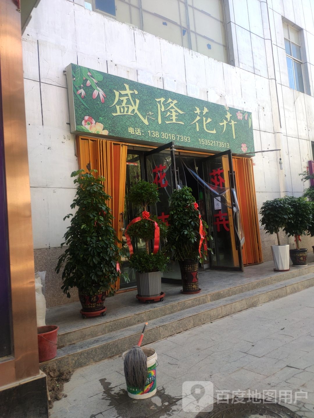 盛隆花卉