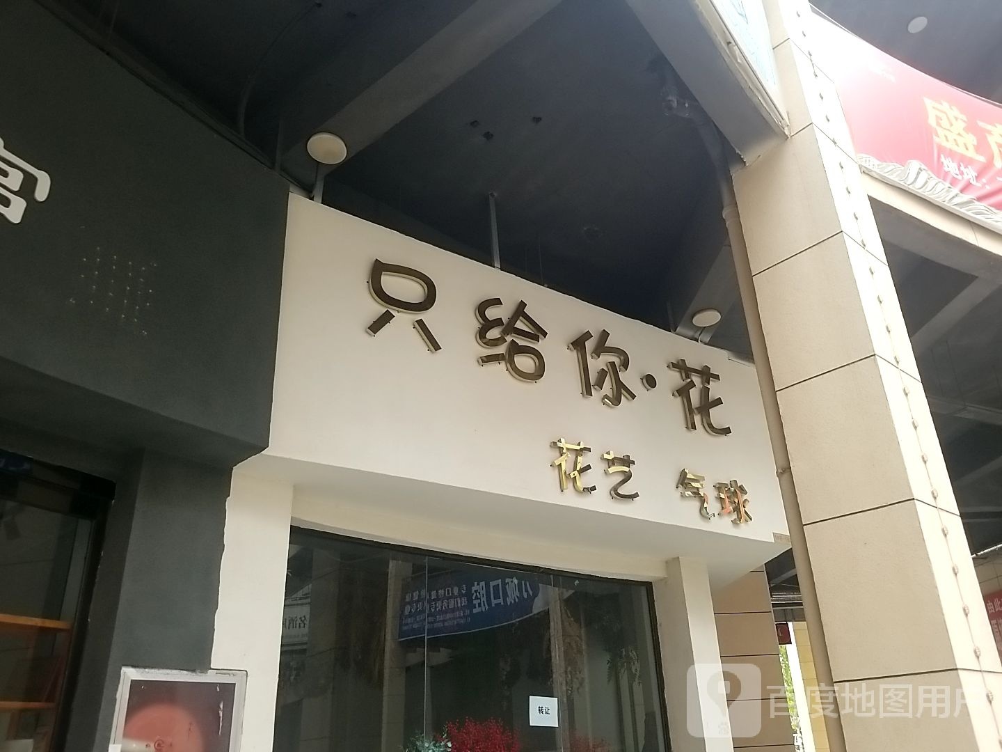 太康县毛庄镇只给你花花艺气球(万城嘉年华广场店)