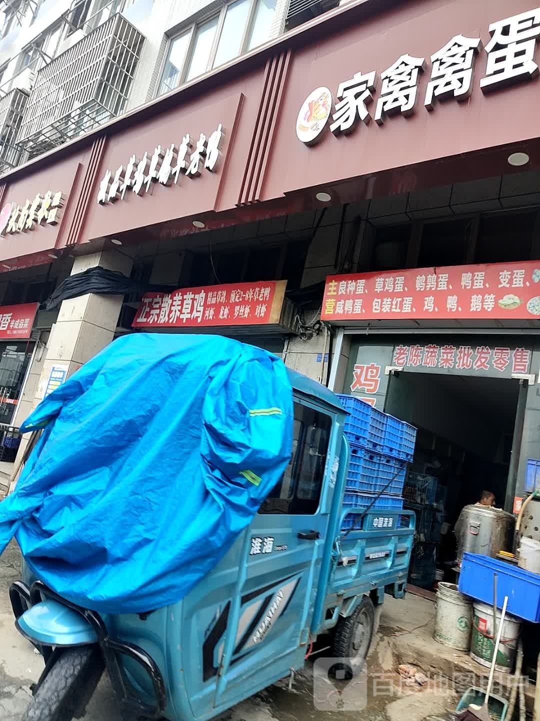 草誓宗养舆正蜃散鸡