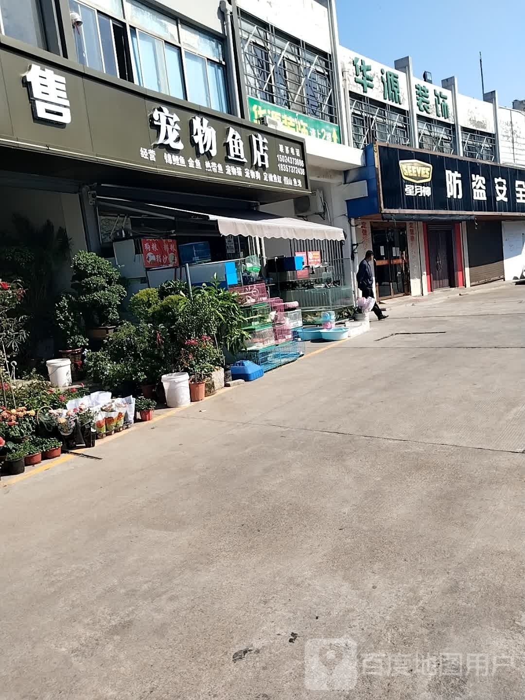 宠物鱼店