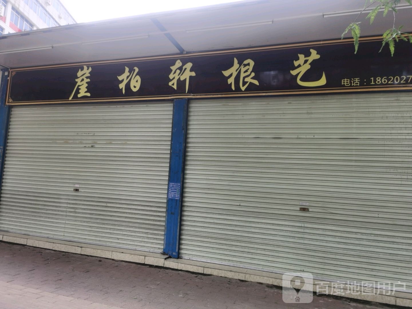 崖柏轩根艺