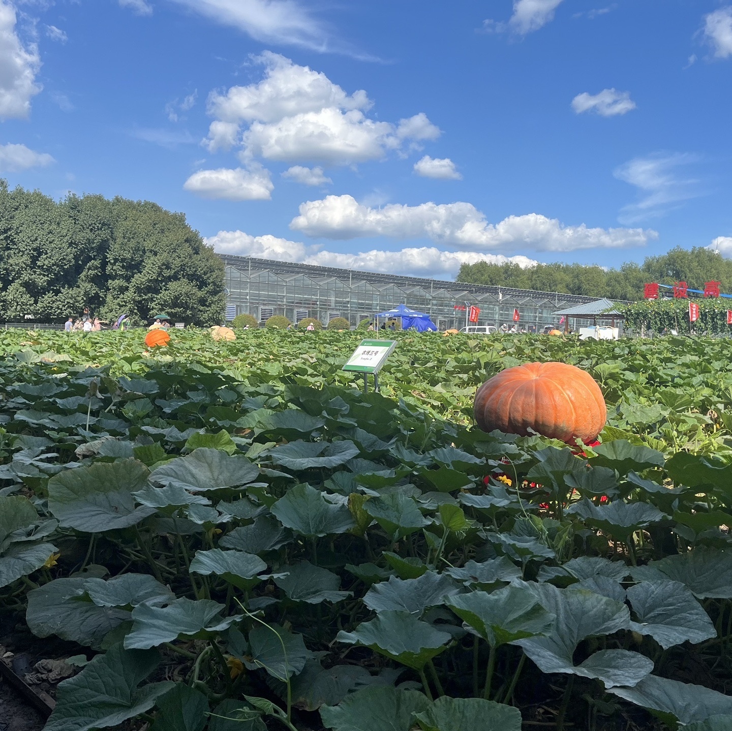 长春农业博览园