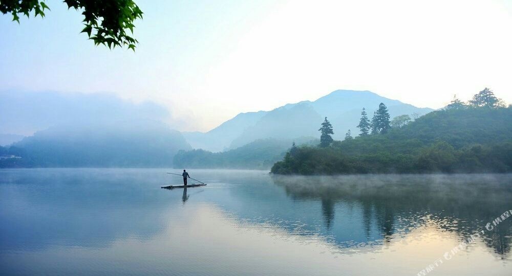 溪头旅游村72号(广场靠左边)