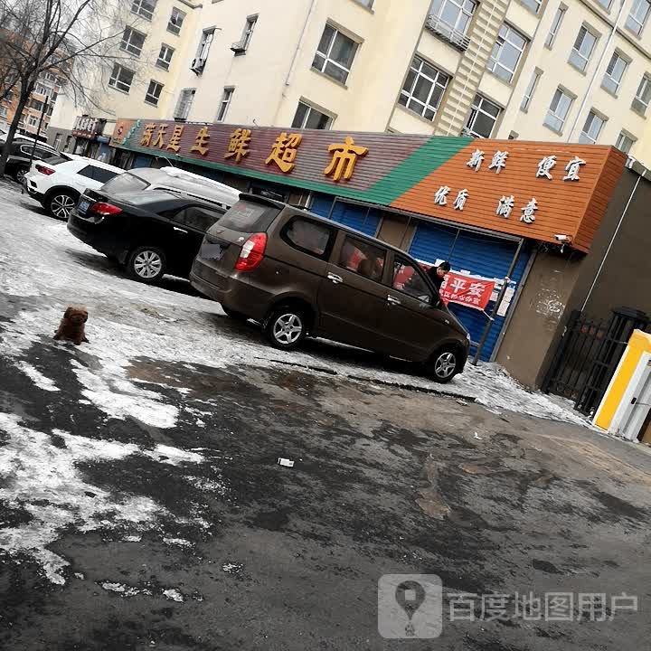 满星湖公生鲜超市(南兴店)