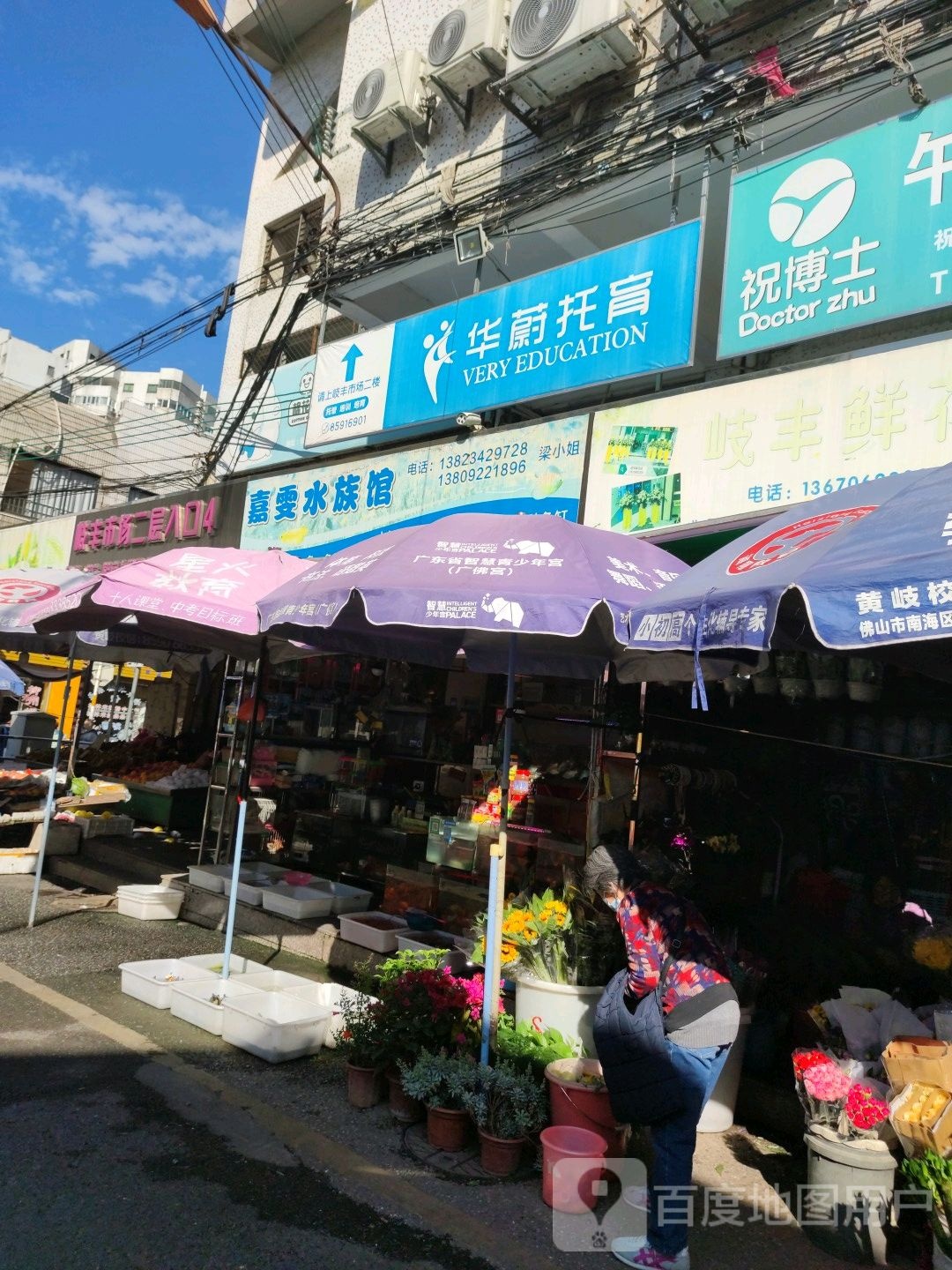嘉雯水族馆