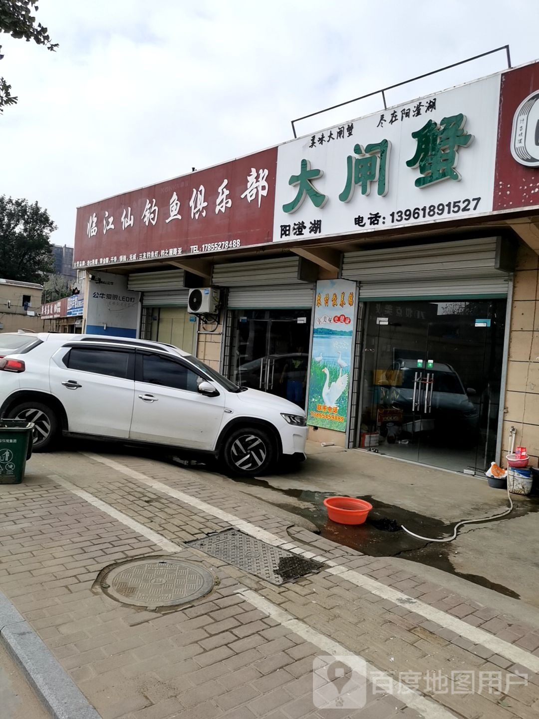 阳橙湖大闸蟹