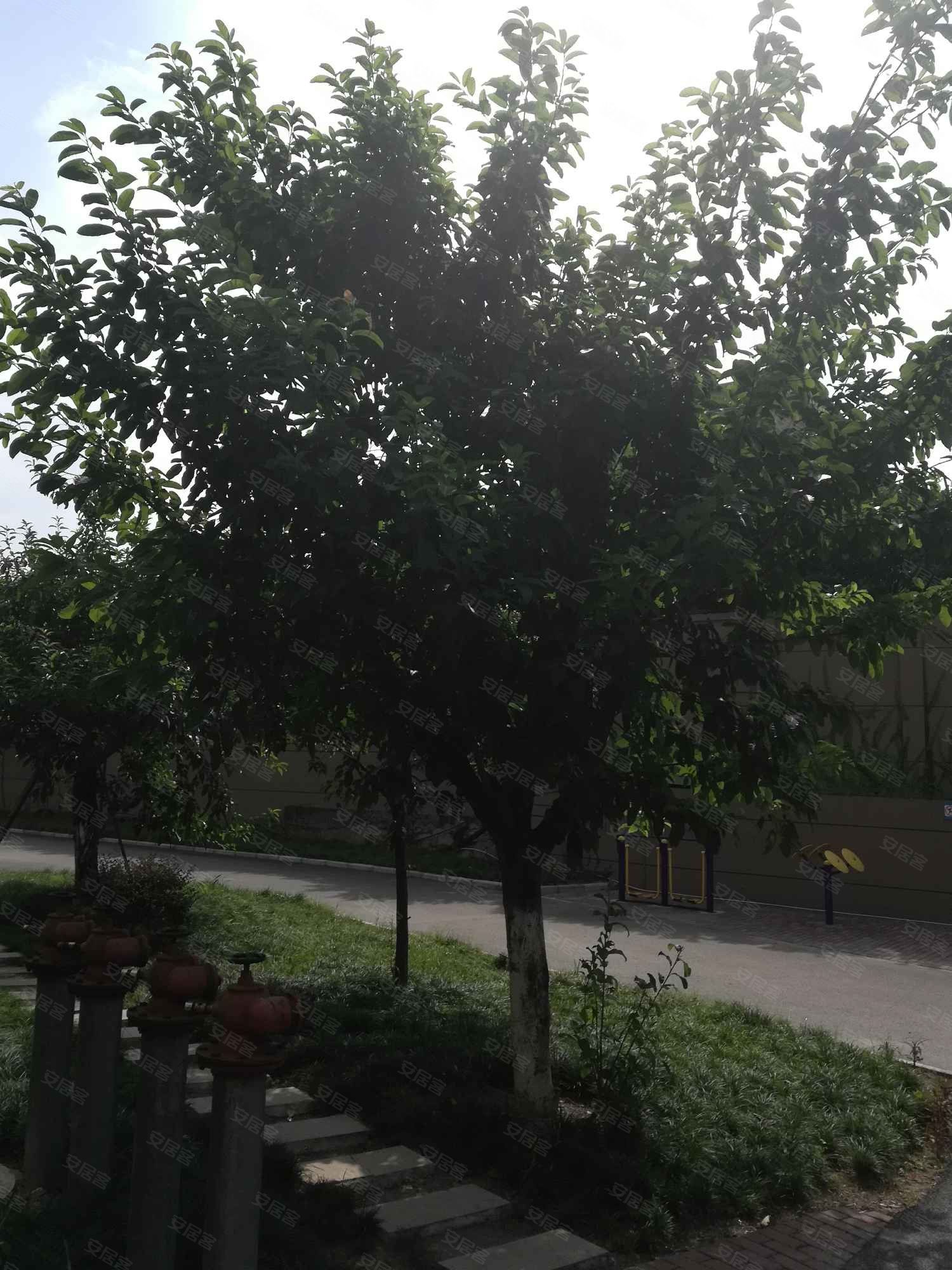 碧海新城