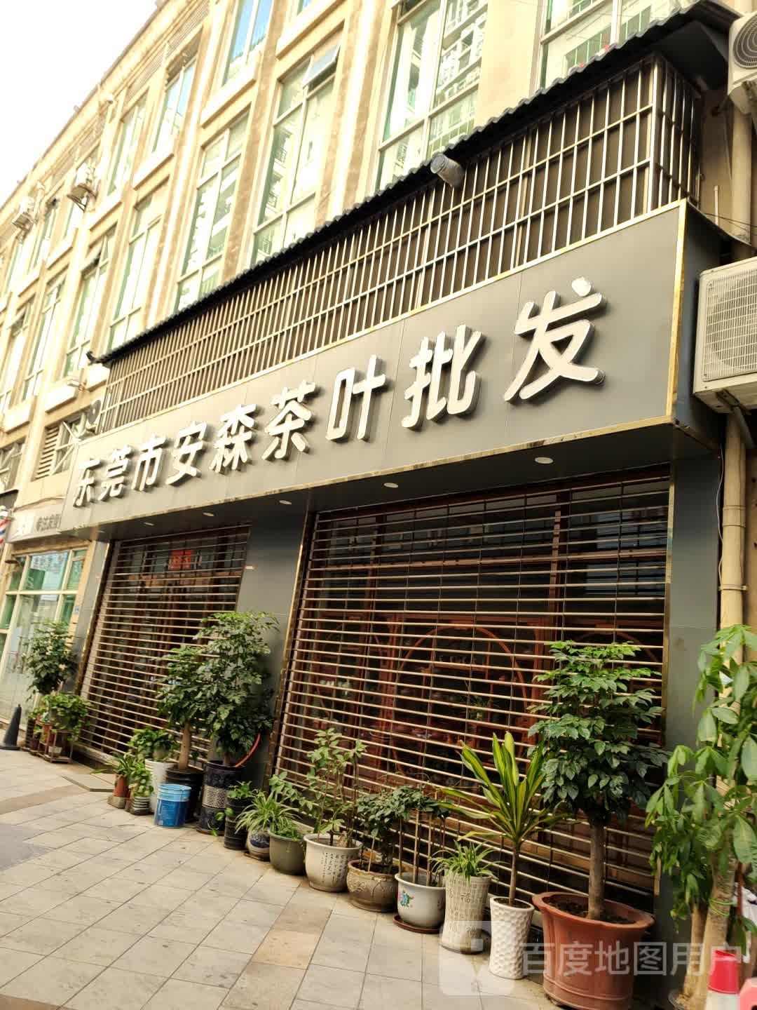 东莞市安森茶叶批发