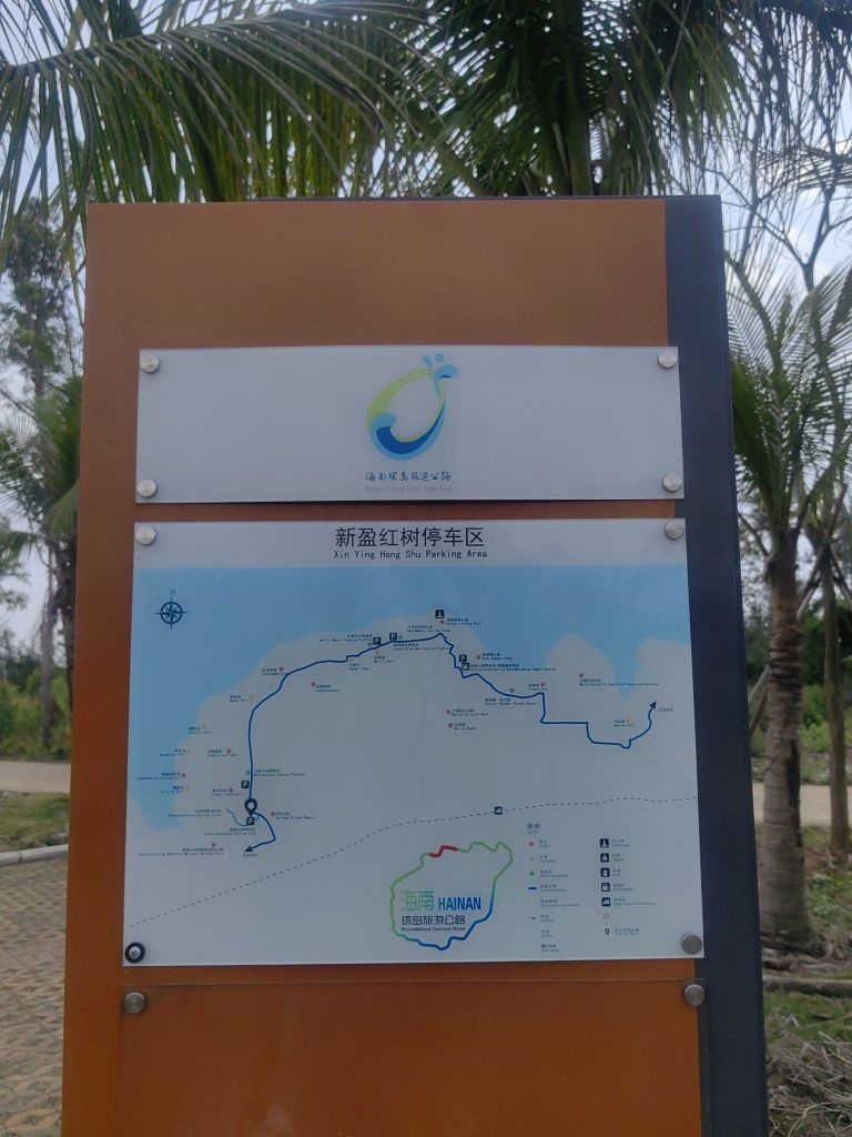 新盈红树观景台