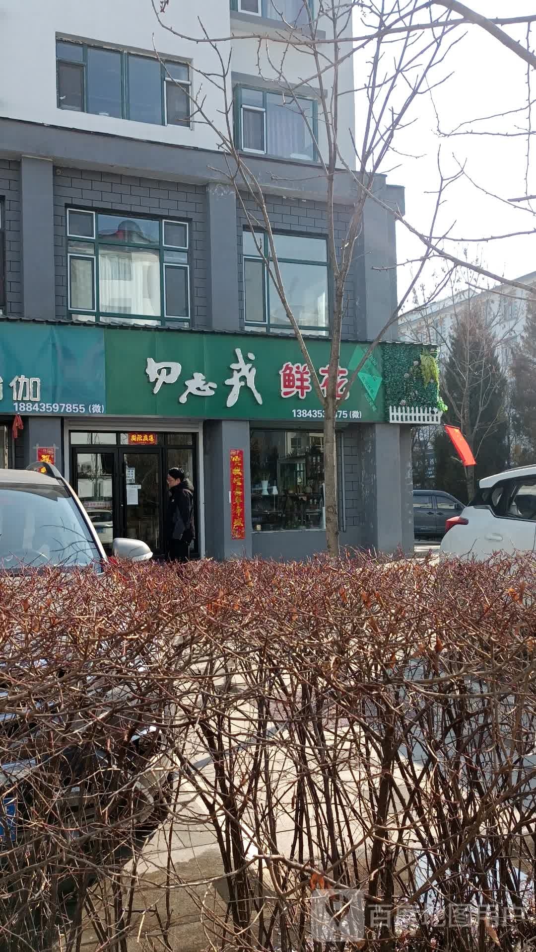 勿忘我鲜花