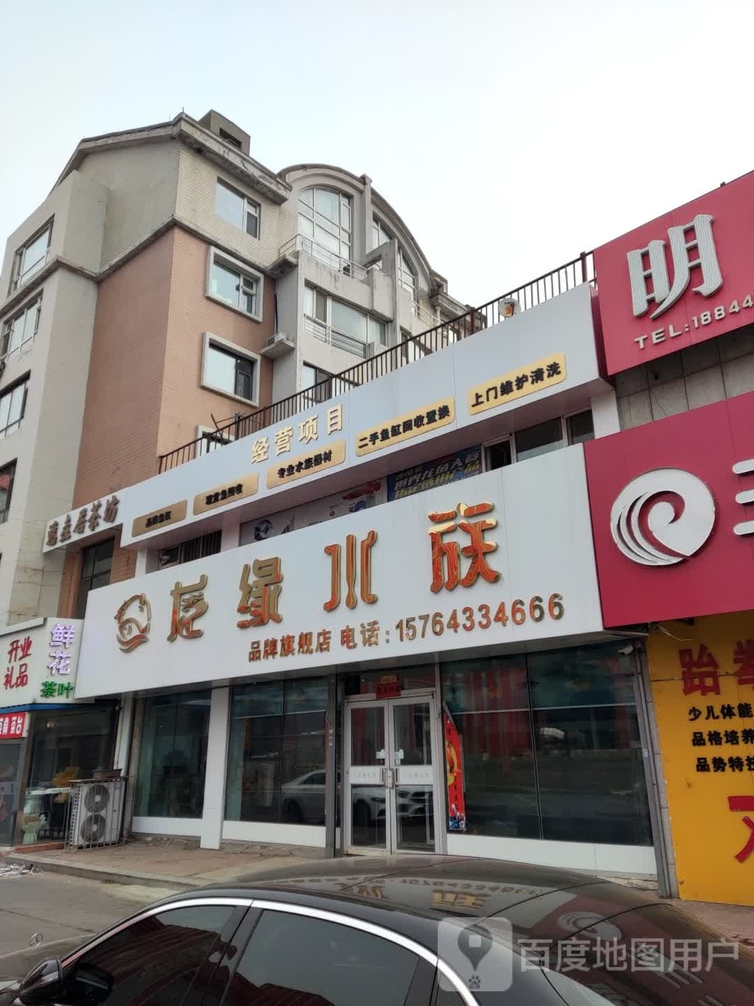 龙缘水族(大自然花鸟鱼茶商城店)