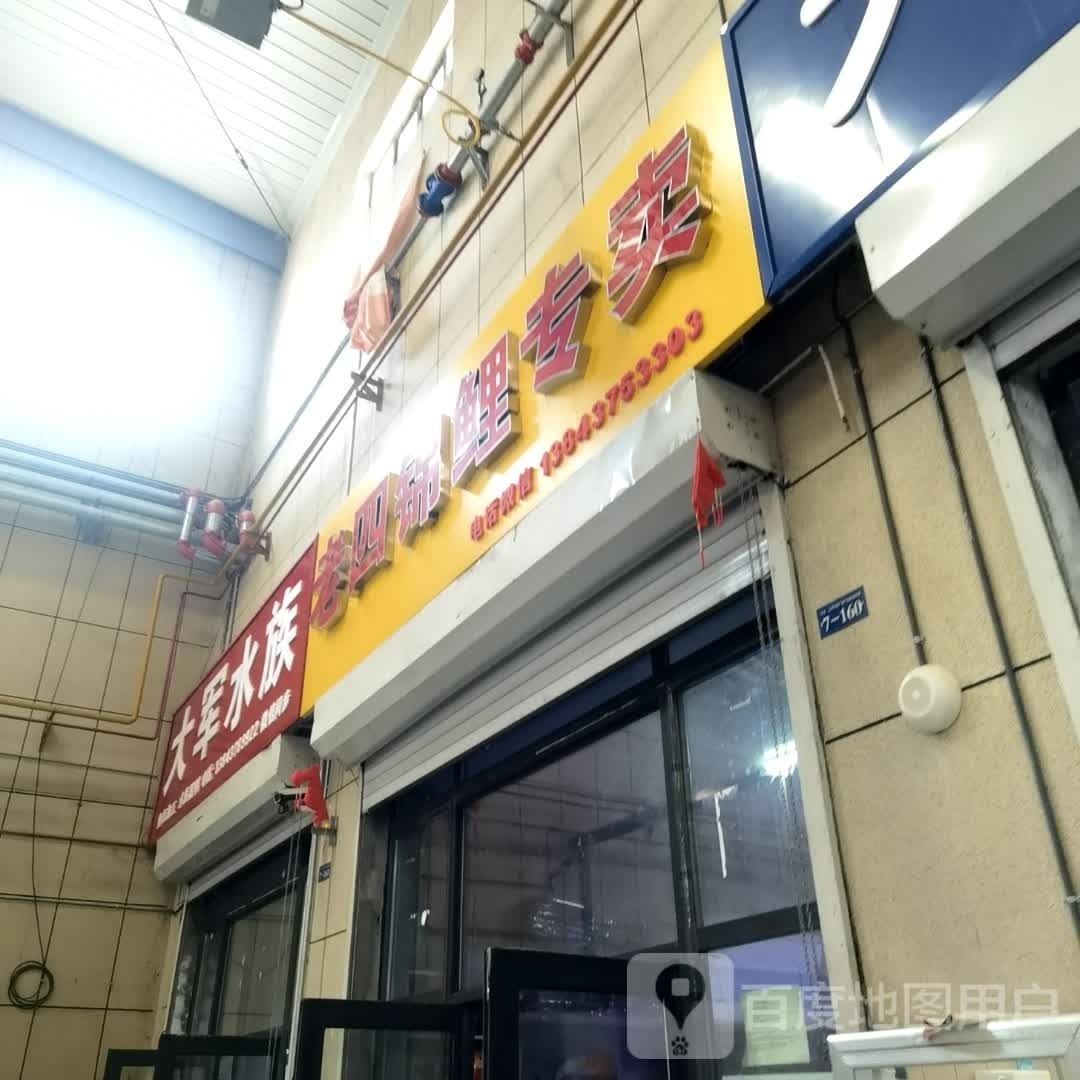 大刚水族